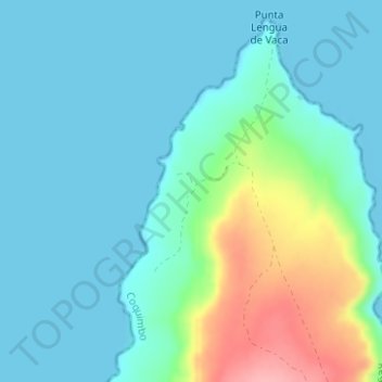 Topografische kaart Lengua de Vaca, hoogte, reliëf