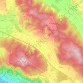 Topografische kaart Nesselwangen, hoogte, reliëf