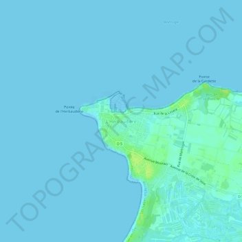 Topografische kaart L'Herbaudière, hoogte, reliëf