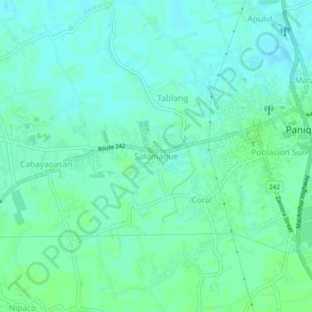 Topografische kaart Salomague, hoogte, reliëf
