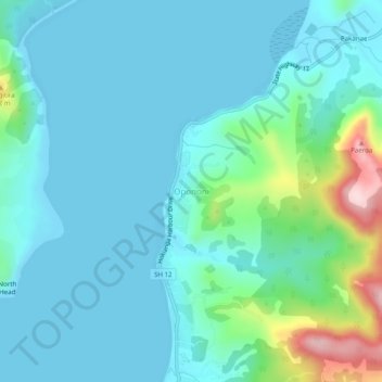 Topografische kaart Opononi, hoogte, reliëf