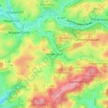 Topografische kaart Niedergaul, hoogte, reliëf
