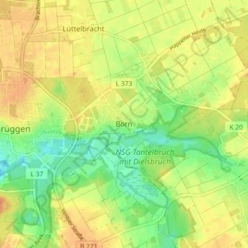 Topografische kaart Born, hoogte, reliëf