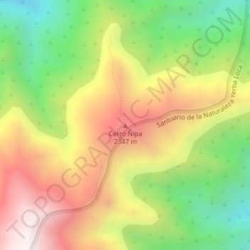 Topografische kaart Cerro Ñipa, hoogte, reliëf