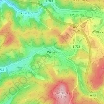 Topografische kaart Wilden, hoogte, reliëf