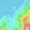 Topografische kaart A Estivada, hoogte, reliëf