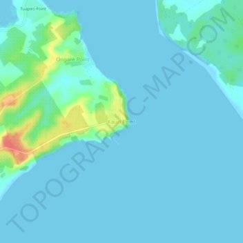 Topografische kaart Kauri Point, hoogte, reliëf