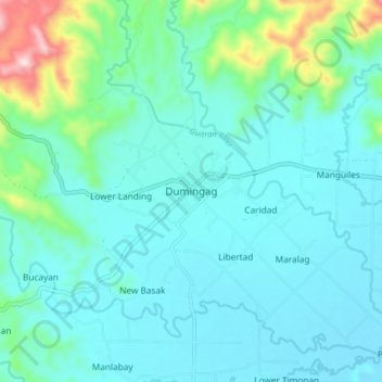 Topografische kaart Dumingag, hoogte, reliëf