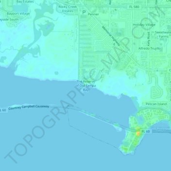Topografische kaart The Reserve of Old Tampa Bay, hoogte, reliëf