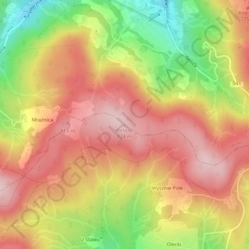 Topografische kaart Beskid, hoogte, reliëf