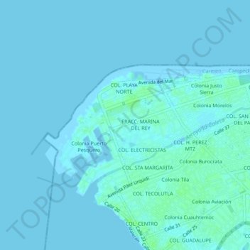 Topografische kaart Colonia Revolucion, hoogte, reliëf