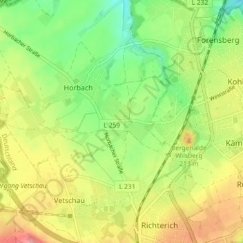 Topografische kaart Forsterheide, hoogte, reliëf