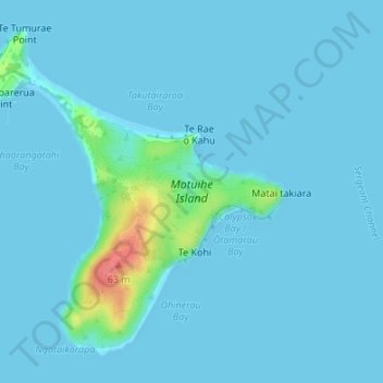 Topografische kaart Motuihe Island, hoogte, reliëf