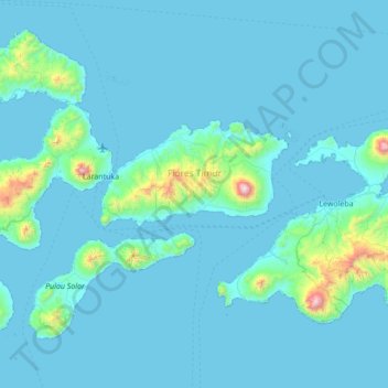 Topografische kaart Flores Timur, hoogte, reliëf