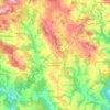 Topografische kaart Neukirchen vorm Wald, hoogte, reliëf