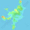 Topografische kaart Ruapuke Islands, hoogte, reliëf
