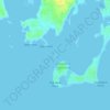 Topografische kaart Pelican Island, hoogte, reliëf