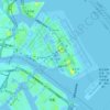 Topografische kaart Tokyo International Airport, hoogte, reliëf