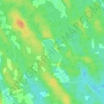 Topografische kaart Wallace Lake, hoogte, reliëf