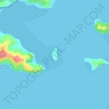 Topografische kaart Motukiore Island, hoogte, reliëf