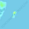Topografische kaart Tagutu Island, hoogte, reliëf