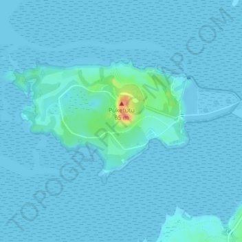 Topografische kaart Puketutu Island, hoogte, reliëf