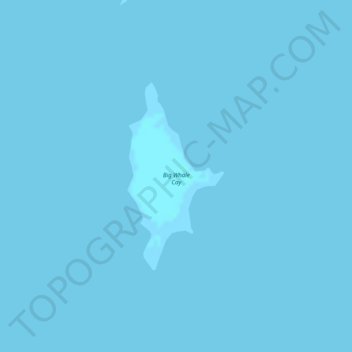 Topografische kaart Big Whale Cay, hoogte, reliëf