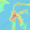 Topografische kaart Celebes, hoogte, reliëf